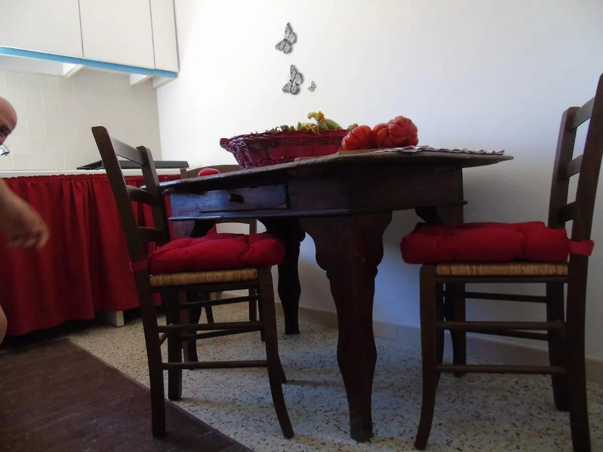 On Holiday Between Sky And Sea Geco Di Campiglia Pet Friendly カンピーリア・マリッティマ