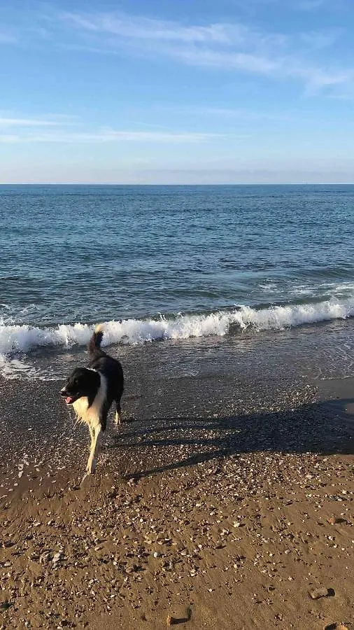 بيت خشبي On Holiday Between Sky And Sea Geco Di Campiglia Pet Friendly كامبيليا ماريتيما