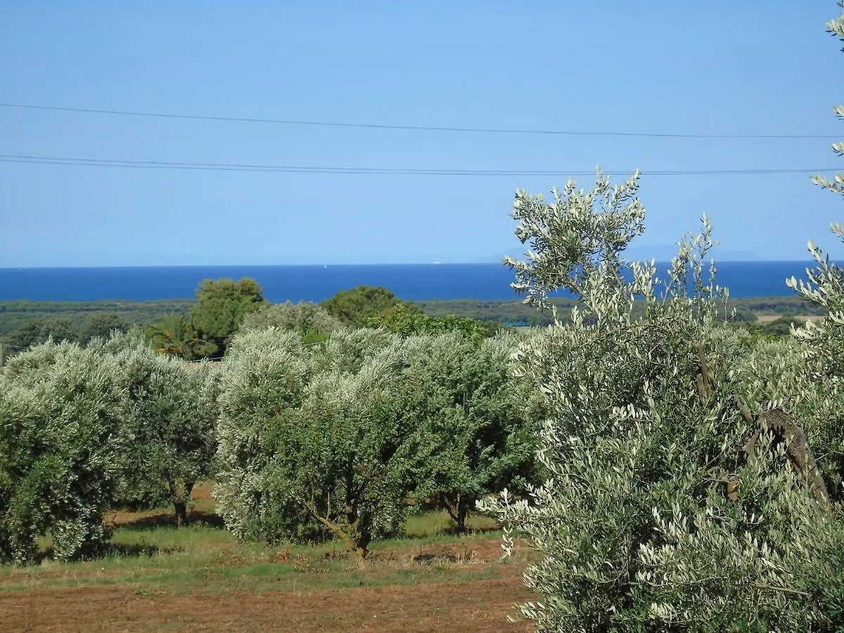 ロッジ On Holiday Between Sky And Sea Geco Di Campiglia Pet Friendly カンピーリア・マリッティマ