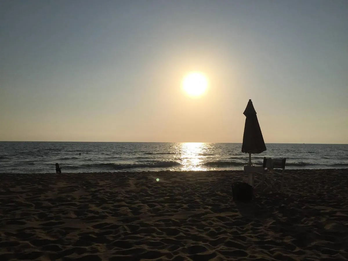 On Holiday Between Sky And Sea Geco Di Campiglia Pet Friendly كامبيليا ماريتيما 0*,  إيطاليا
