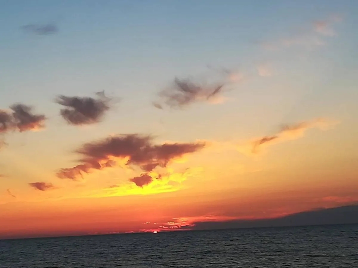 بيت خشبي On Holiday Between Sky And Sea Geco Di Campiglia Pet Friendly كامبيليا ماريتيما