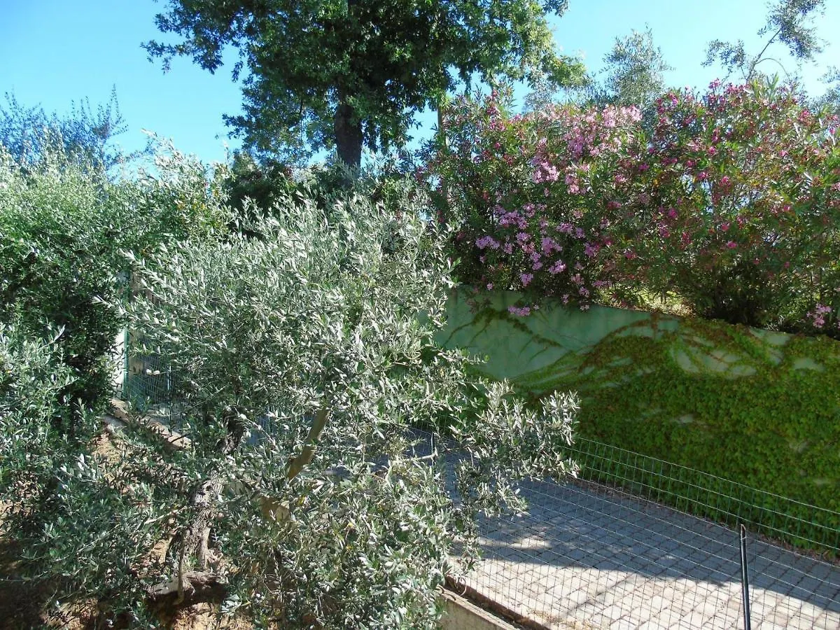 On Holiday Between Sky And Sea Geco Di Campiglia Pet Friendly كامبيليا ماريتيما 0*,